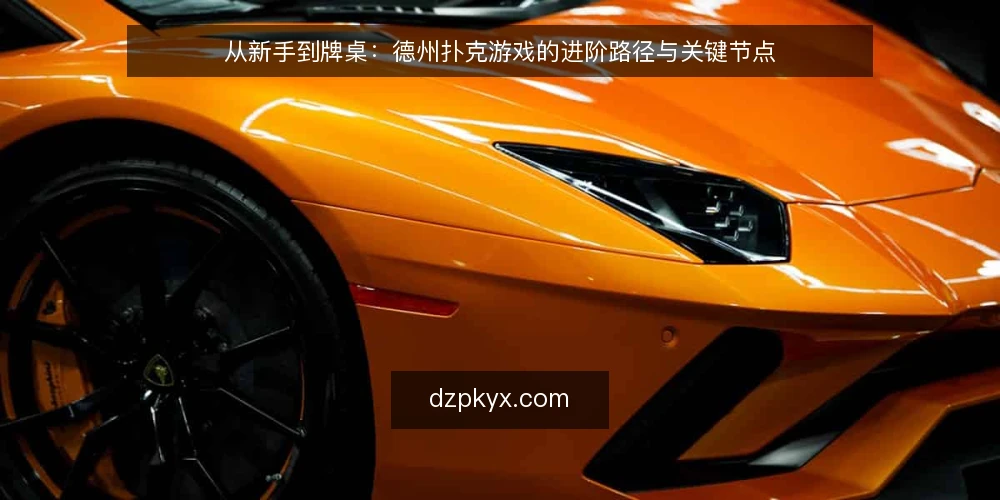 从新手到牌桌：德州扑克游戏的进阶路径与关键节点 — 德州扑克游戏的入门路径：从规则到第一手牌 配图