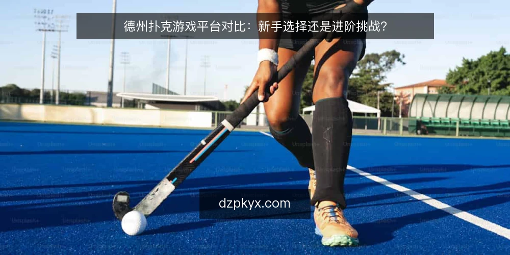 德州扑克游戏平台对比：新手选择还是进阶挑战？ — 为什么现在要审计你的德州扑克游戏平台 配图