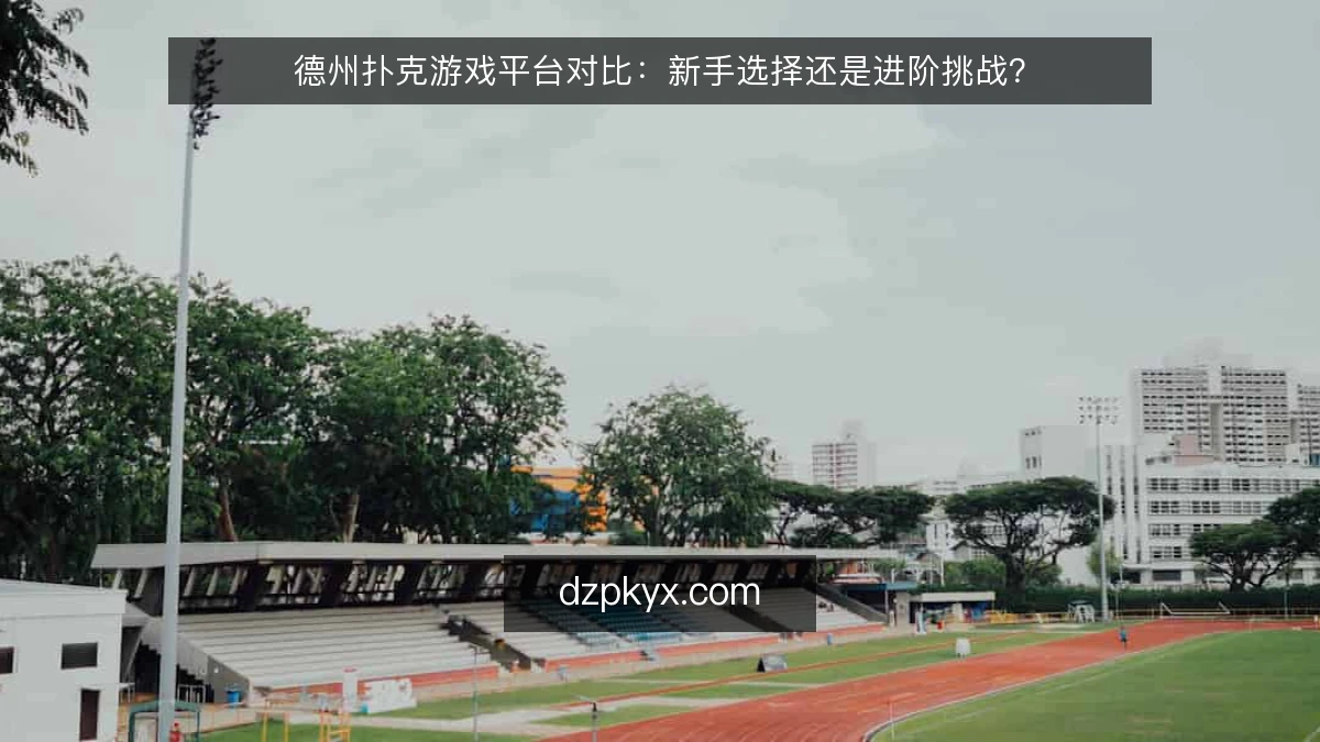 德州扑克游戏平台对比：新手选择还是进阶挑战？
