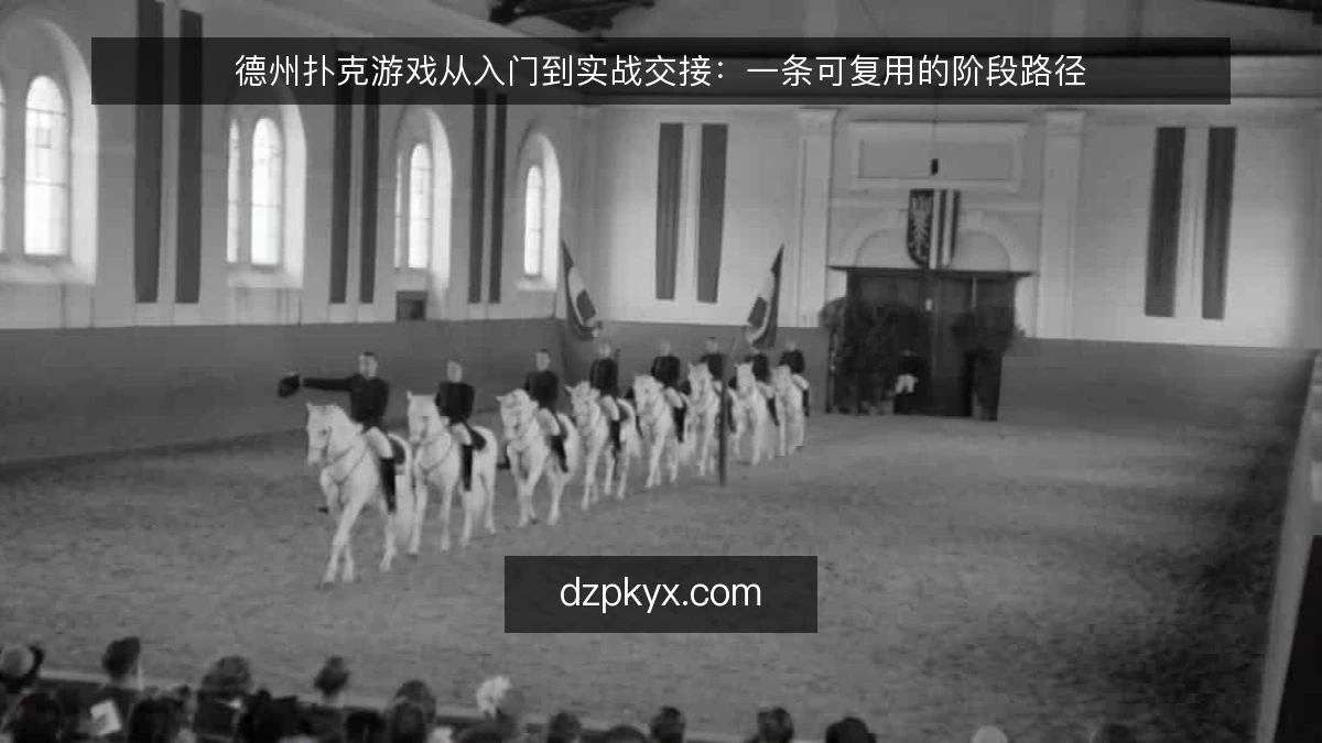 德州扑克游戏从入门到实战交接：一条可复用的阶段路径