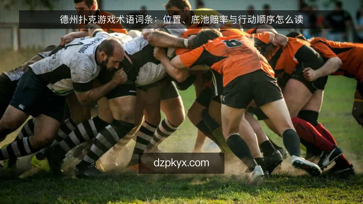 德州扑克游戏术语词条：位置、底池赔率与行动顺序怎么读